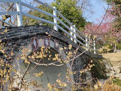 -鹅湖玫瑰文化园