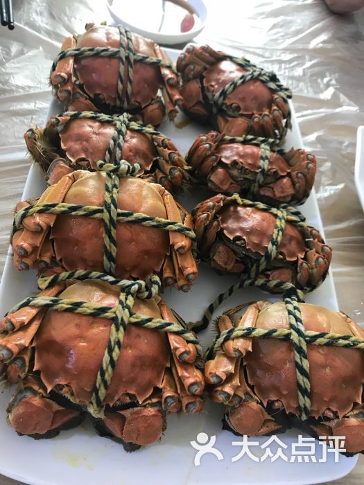 秦大姐农家乐(崇明西沙湿地店)大闸蟹图片 - 第68张