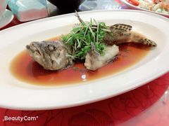 -沪华海鲜大酒楼(南汇店)