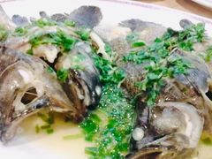 -大荣华酒楼(元朗老店)