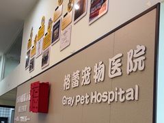 -格蕾宠物医院24H·猫科·肿瘤科·骨科中心(福州总院)