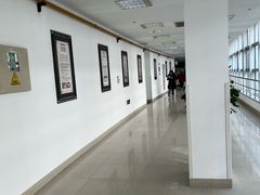 -上海中医药大学附属曙光医院(东部)