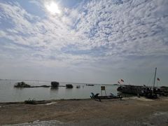 -贡湖湾湿地公园
