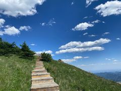 -白草畔自然风景区