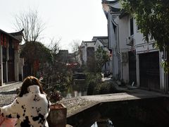 -江南第一家