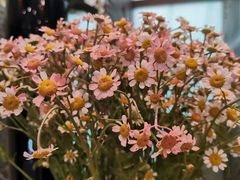 -青岛海尔洲际酒店