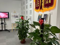 -体博士·疼痛调理·体态矫正·运动康复中心(大望路华贸店)
