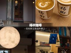 -椿树咖啡