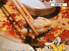 -哥老官重庆美蛙鱼头(龙湖杭州金沙天街店)