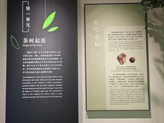 -中国茶叶博物馆(双峰馆区)