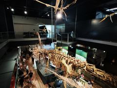 -墨尔本博物馆(Melbourne Museum)