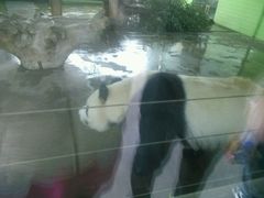 -石家庄市动物园