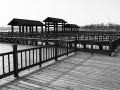 -天津东丽湖风景区