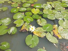 -韩湘水博园