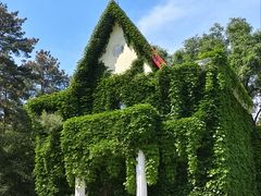 -黑龙江省森林植物园