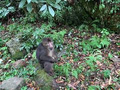 -西岭雪山大飞水景区