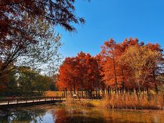 -梁鸿国家湿地公园