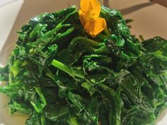 清炒豌豆尖-106餐厅北京菜.烤鸭(百子湾店)