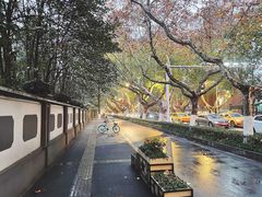 -颐和路民国时期公馆风貌区