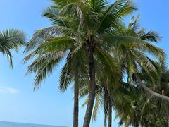 -三亚南山文化旅游区