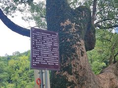 -上坦村