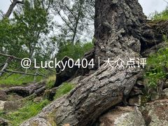 -阿尔山市大兴安岭奥伦布坎景区
