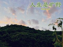 -阳台山森林公园