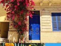 -上巴拉卡花园和下巴拉卡花园