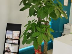 -海之声助听器峰力直营店深圳旗舰中心