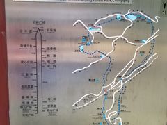 -铁山坪森林公园