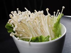 -伴山茶苑·一盏冰茶·半日山居