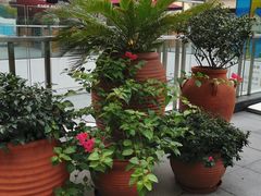 -嘉亭荟城市生活广场-停车场