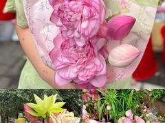 -溪岸路花鸟市场