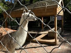 -长白岛森林公园