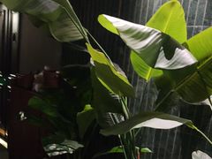 -涟LIAN·泰式按摩·MASSAGE·SPA(华强北店)