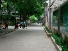 -中山大学学者灵芝(园南路店)