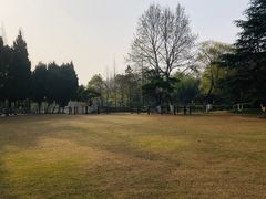 -瀛洲公园