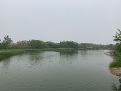 -大兴滨河森林公园