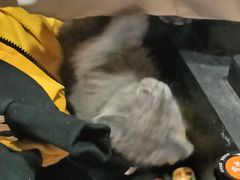 -解个谜沉浸剧情密室(天河店)