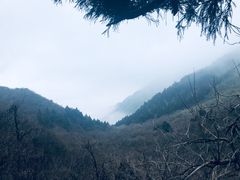 -南岳衡山风景名胜区