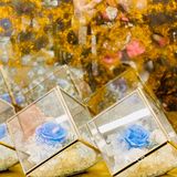 魔石大咖来探店🎂｜一秒穿越北海道，品尝纯真美味