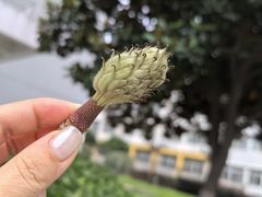 -河海大学(江宁校区)