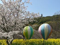 -苏州上方山国家森林公园