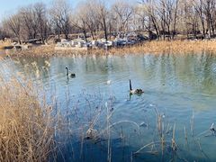 -大兴滨河森林公园