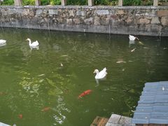 -苏州文庙(姑苏区)