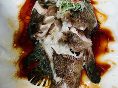 -佳兰雅序融合菜(高新店)