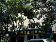 -铭记嘎洒生态鳝鱼(迎春街店)