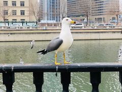 -星海广场