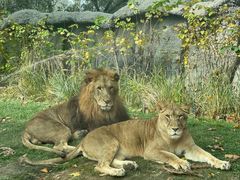 -北京野生动物园