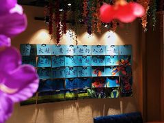 -觅山云南菜(泊富ICITY店)